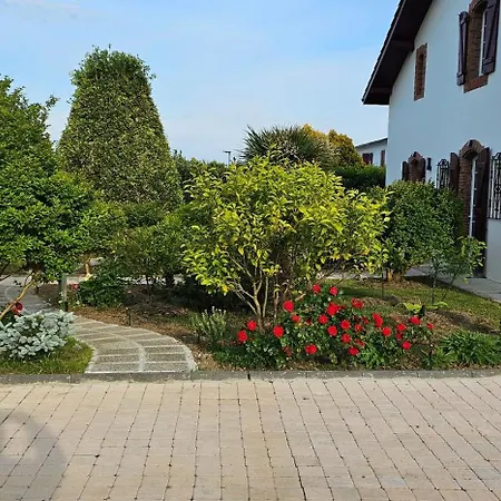 Abaca Colors * Saint-Martin-de-Seignanx