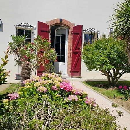 Abaca Colors