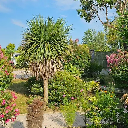 Abaca Colors מלון Saint-Martin-de-Seignanx