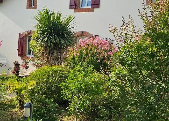 فندق Abaca Colors